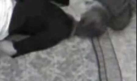 Kecantikan mudah blue budak sekolah bermain dalam film dewasa