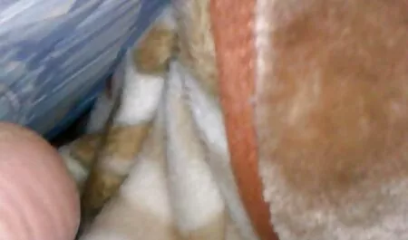 Gina Valentino pada lututnya, my lucah budak sekolah terperangkap dekat.